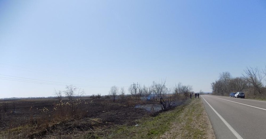 В Приднестровском национальном природном парке сгорело 10 гектаров из-за поджигателей травы