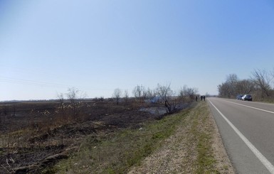 В Приднестровском национальном природном парке сгорело 10 гектаров из-за поджигателей травы
