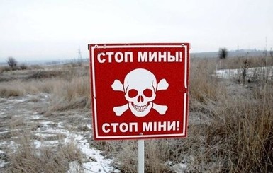 ОБСЕ: с начала 2020 года в Донбассе от взрыва мин погибли 12 человек