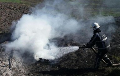 Над Киевом из-за пожаров и безветрия зависла едкая дымка