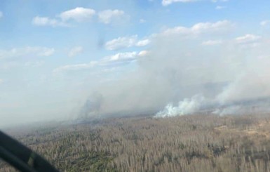 Пожар в чернобыльской зоне: полиция задержала 27-летнего селянина 