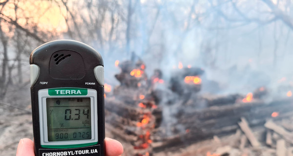 Загрязненный пожарами воздух в Чернобыле в пятницу попадет в Киев