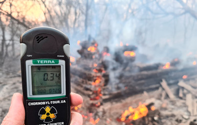 Загрязненный пожарами воздух в Чернобыле в пятницу попадет в Киев