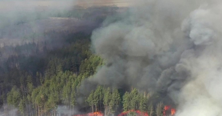 Новые штрафы: за сжигание травы – 6 тысяч гривен, поджог леса – 153 тысячи