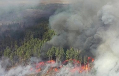 Новые штрафы: за сжигание травы – 6 тысяч гривен, поджог леса – 153 тысячи