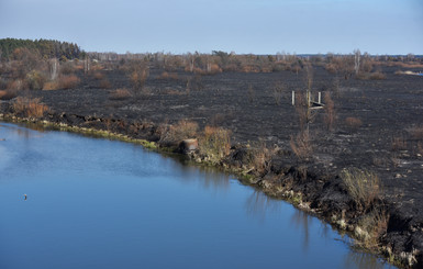 Был красный лес, а теперь черная земля: как выглядит Чернобыль после пожаров 