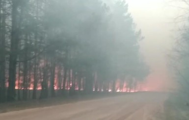 В Житомирской области лесной пожар выжег 5 сел