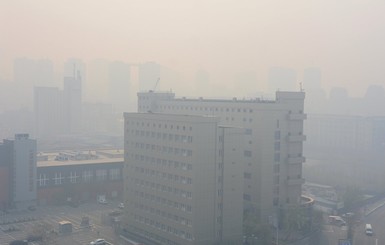 Офис президента: 90% дыма надуло из Житомирской области