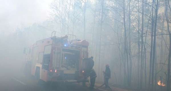 Пожары на Житомирщине: жителей сгоревших сел эвакуировали