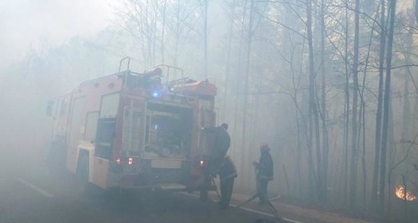 Пожары в Житомирской области: ущерб оценили в 25 миллионов