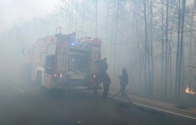 Пожары в Житомирской области: ущерб оценили в 25 миллионов