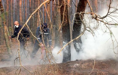 Пожар в Чернобыльской зоне продолжают тушить машинами и вертолетами 