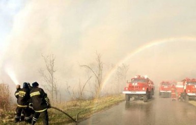 В Житомирской области тушили новый пожар площадью 200 гектаров