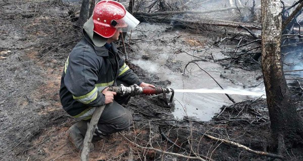 Спасатели продолжают борьбу с пожарами на Житомирщине и в Киевской области