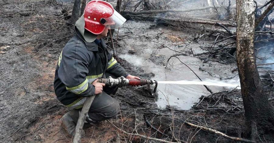 Спасатели продолжают борьбу с пожарами на Житомирщине и в Киевской области