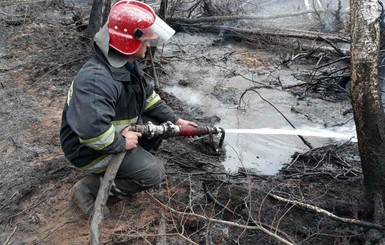Спасатели продолжают борьбу с пожарами на Житомирщине и в Киевской области