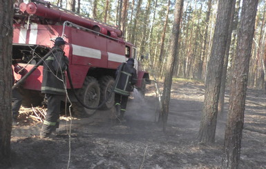 В Киевской и Житомирской областях ГСЧС продолжает тушить отдельные очаги пожаров