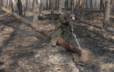В Житомирской области ликвидировано возгорание в Полесском заповеднике