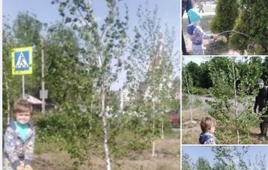 Жители Днепра восхищаются мальчиком, который позаботился обо всех деревьях в своем районе  