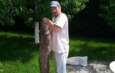 На Закарпатье удачливый рыбак поймал здоровенного сома