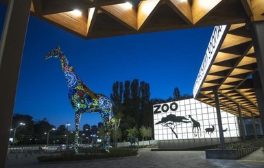 Кличко впервые в жизни покормил жирафа и объявил об открытии киевского зоопарка