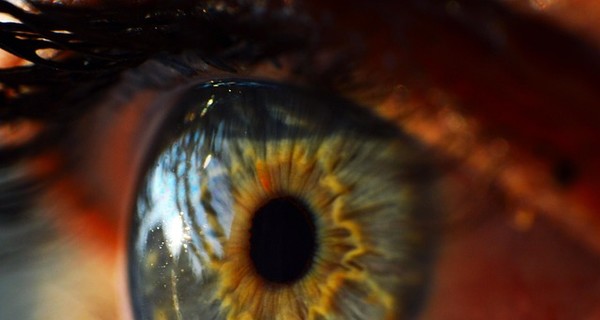 В Гонконге создали бионический глаз, который видит