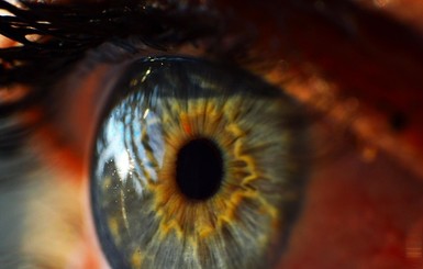 В Гонконге создали бионический глаз, который видит