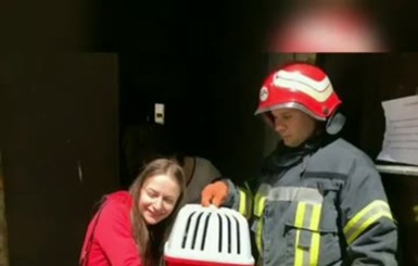 В Одессе спасатели нашли живого и невредимого кота под завалами дома