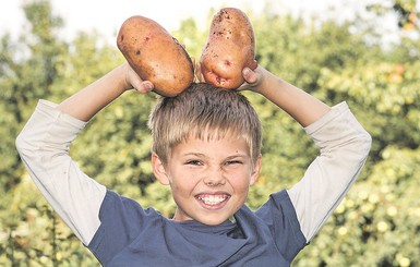 Как получить большой урожай картошки при минимальном уходе