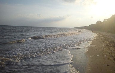 Азовское море стало солонее в 1,5 раза
