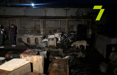 В Одессе случайный прохожий помог спасти от гибели 40 котов и 350 собак