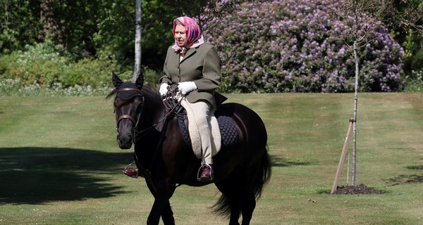 Впервые на карантине: Королева Елизавета II прокатилась верхом на лошади и попала в объективы фотографов