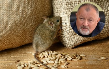 Советник министра МВД Михаил Апостол: Если бы не мои мыши, хищения в Госрезерве не получили бы такой резонанс