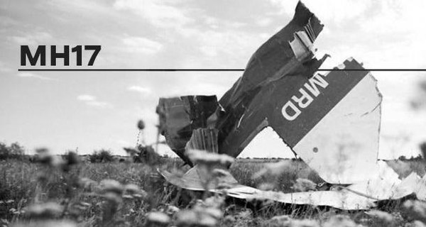 В Нидерланданх возобновились слушания по делу MH17: первые подробости