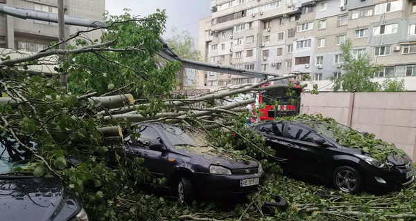 По Днепру пронеслась непогода: разбиты 18 машин, без света - 1700 абонентов