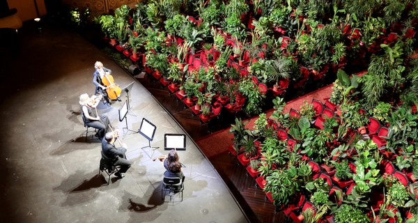 Оперный театр в Барселоне сыграл концерт для растений, которые подарят медикам