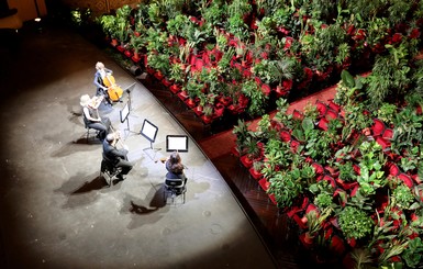 Оперный театр в Барселоне сыграл концерт для растений, которые подарят медикам