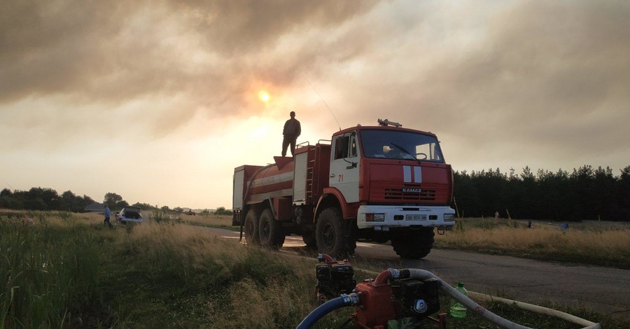 На Луганщине лесной пожар тушили 293 человека