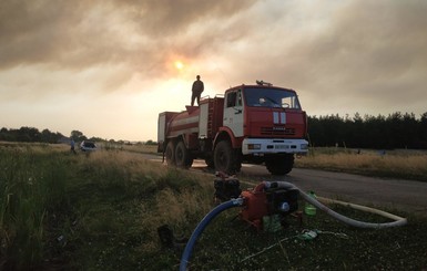 На Луганщине лесной пожар тушили 293 человека