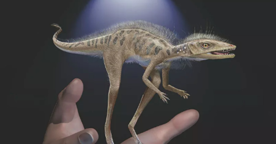 Ученые показали десятисантиметрового предка динозавров и птерозавров