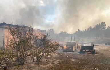 Сгорело целое село: на Луганщине из-за пожара погиб человек и еще 9 - в больнице 