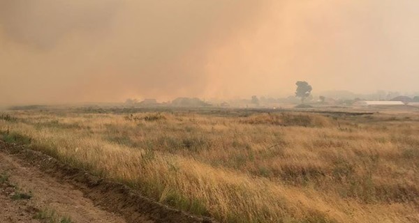 Лесной пожар в Луганской области: количество погибших возросло