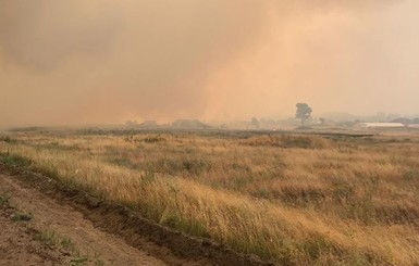 Лесной пожар в Луганской области: количество погибших возросло