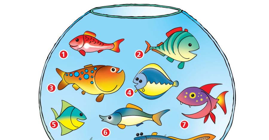 Тест: какая рыба определит ваш характер