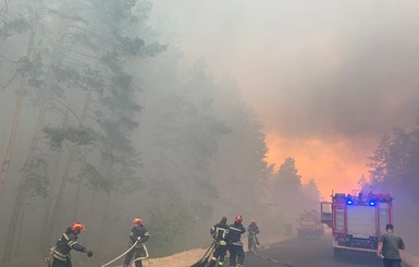 Лес в Луганской области мог загореться из-за попадания снаряда со стороны ОРДЛО