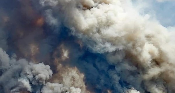 Жители Луганской области о пожарах: Подумали - до нас добралась война