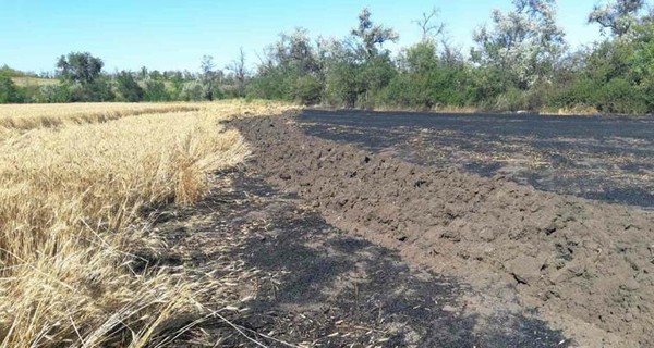 Полиция проверила видео поджога полей на Луганщине