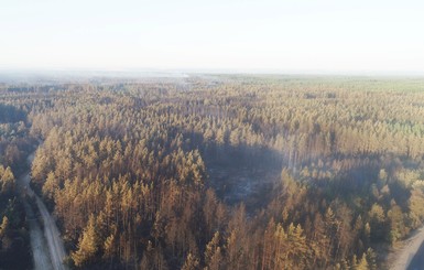 Пожар на Луганщине: угрозы распространения пламени нет