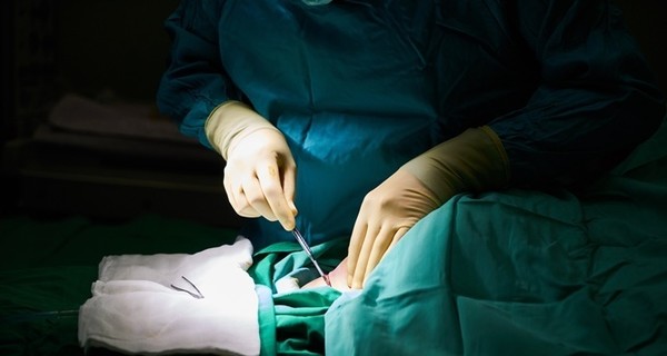 В МОЗ рассказали, почему трансплантацию делают в основном за границей