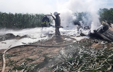 В Киевской области упал самолет: на борту были два человека